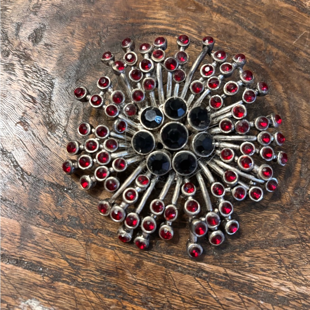 Express Red and Black Brooch